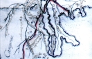 Parte do mapa-roteiro apontando o local da ferradura do 