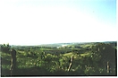 Foto tirada do Morro do Quilombo -1993